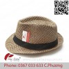 Fedora N 1731